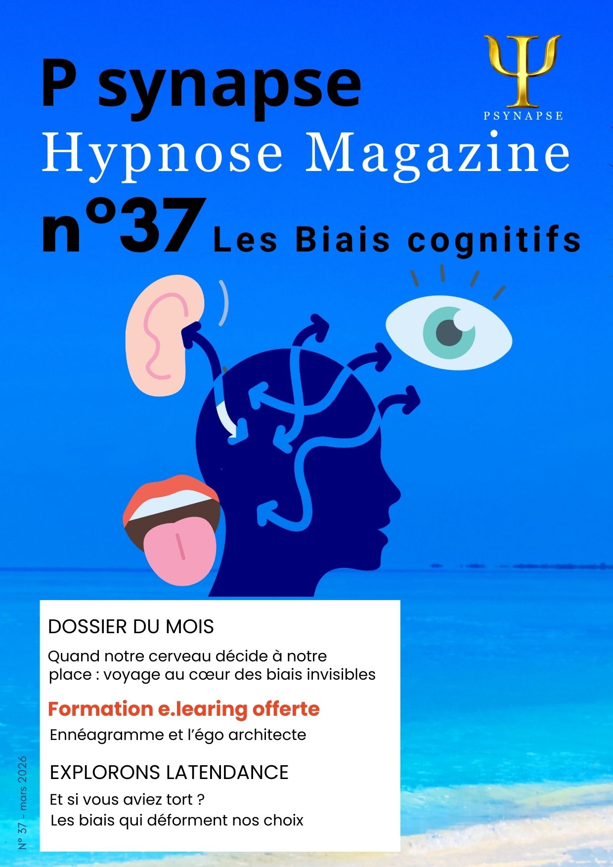 Les Biais cognitifs-psynapse magazine